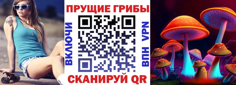 Псилоцибиновые грибы Psilocybe  Мурманск 